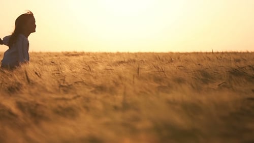 Girl Runs Across Golden Wheat