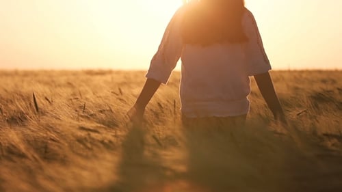 Girl Walks Through Golden Field