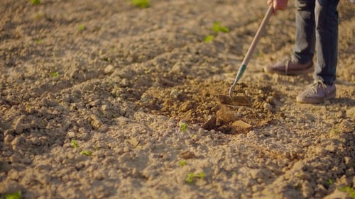 L'outil agricole est le champ de binage