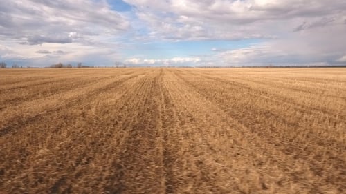 Aerial View of the Countryside with Village and Fields of Crops in Spring