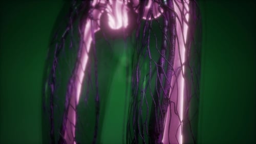 3D Futuristic Medical Scan of Human Anatomy and Skeleton