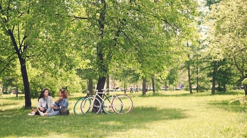Two Pretty Girls Friends Are Talking and Laughing Sitting on Lawn in Park on Warn Sunny Day