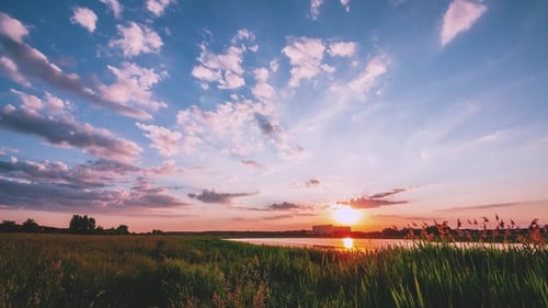 Sunset in the Countryside with Dogs and a Lake