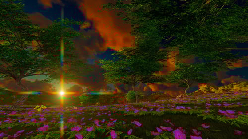 Panorama Green Field At Sunset