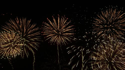 Golden Fireworks Exploding in the Dark Night Sky