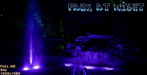 Park At Night
