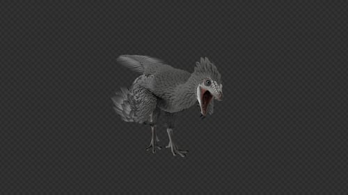 Pack de morsures et de câlins Archaeopteryx 8 en 1