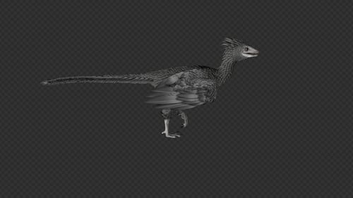 Archaeopteryx Marchez et mangez Pack 8 en 1
