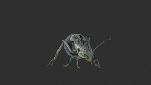 Animated 3D Alien Insect Creature Rotating Loop
