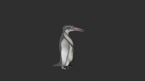 Animated Stylized Heron Bird with Alpha Channel