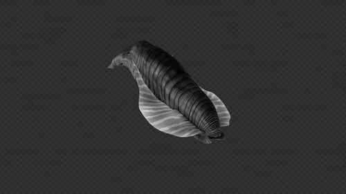 Leech Move Pack 2 en 1