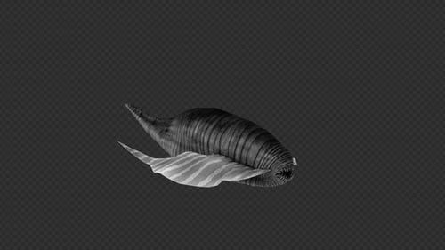Leech Swim Idle Pack 2 en 1