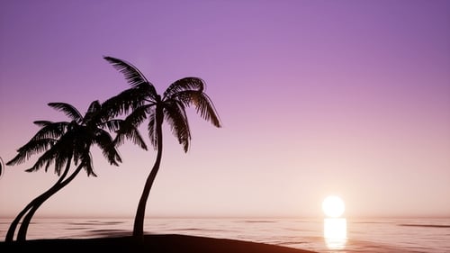 Tropical Sunset with Swaying Palm Trees over Calm Ocean
