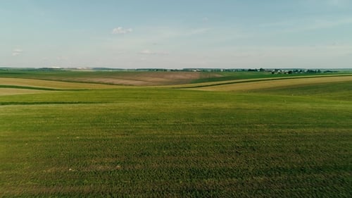 Fly Over Coloful Fields