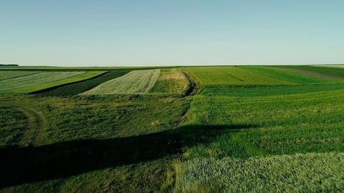 Aerial View of Fields and Farmland
