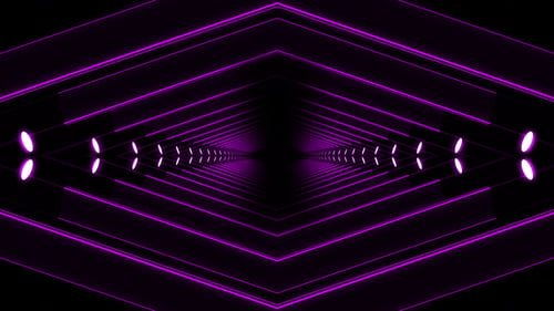 Purple Lines Background Loop