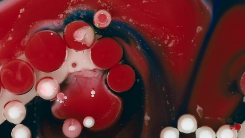 abstrakter Hintergrund. Rote und weiße Acrylbläschen mischen sich in Öl