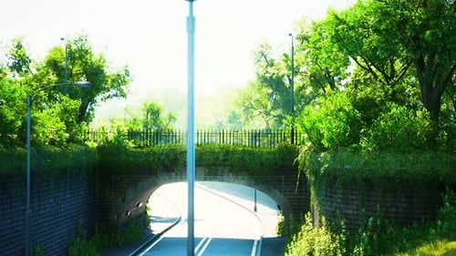 Pont en arc avec des branches de brousse vivantes dans le parc