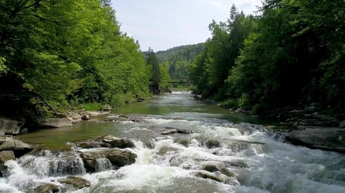 Aerial View of Beautiful Mountain River in Summer