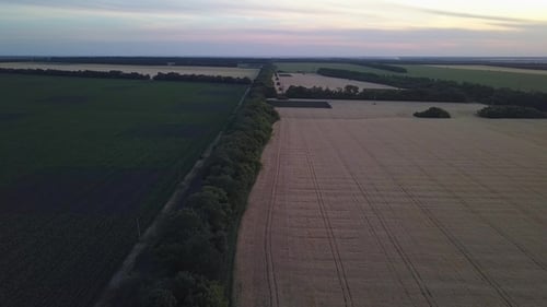 Panorama des champs agricoles d'Ukraine