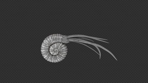 Nautiloidea Death And Idle Pack 8 en 1