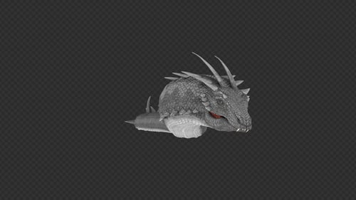 Pack 12 en 1 de chargement, de câlins et de nourriture de basilic dragon chinois