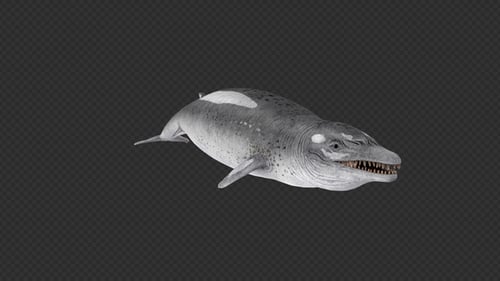 Basilosaurus Idle Et Marsouin Pack 6 En 1