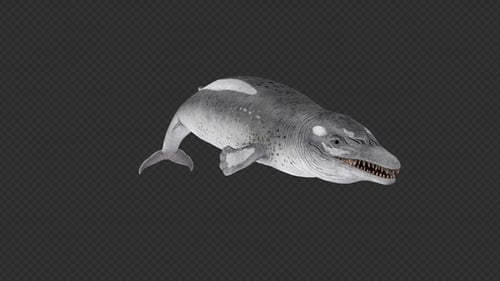Basilosaurus Swim Pack 3 In 1