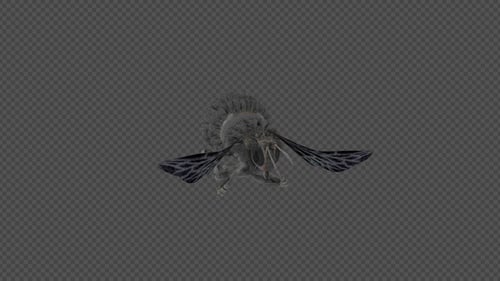 Realistic 3D Bee Animated with Transparent Background