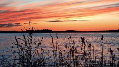 Vivid Sunset Over Calm Lake and Marsh Plants