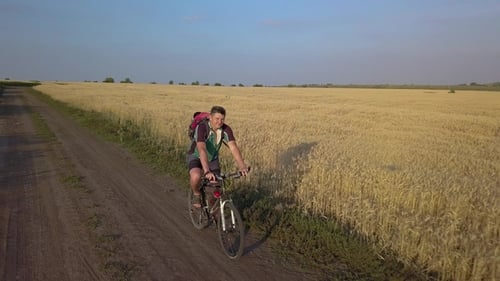 A Cyclist Rides Along the Road Between Agricultural Fields