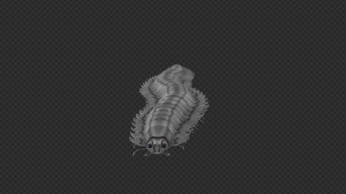 Centipede Arthropluera Schreckenslauf-Set, 12 in 1