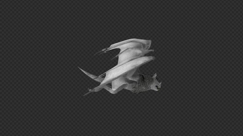 Flapping Wings Realistic 3D Bat Animation