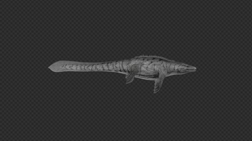 Mosasaurus Leerlaufpaket 2in1