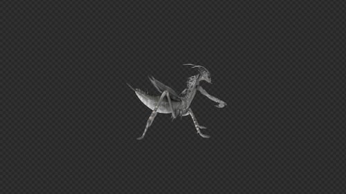 Mantis Attack Claw Pack 4In1