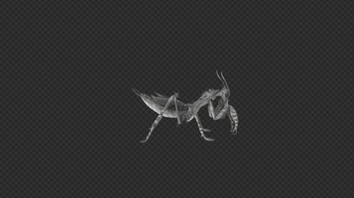 Mantis Lay Egg Idle Eat Pack 6In1
