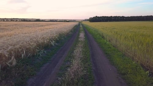 Straße zwischen Feldern