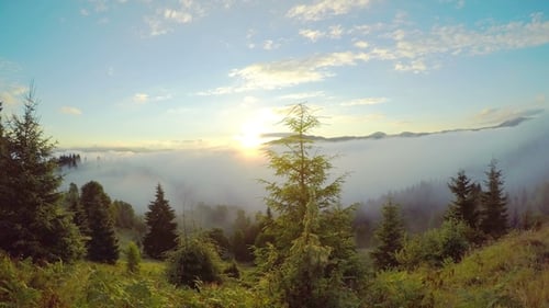 Majestic Mountain Sunrise with Golden Fog