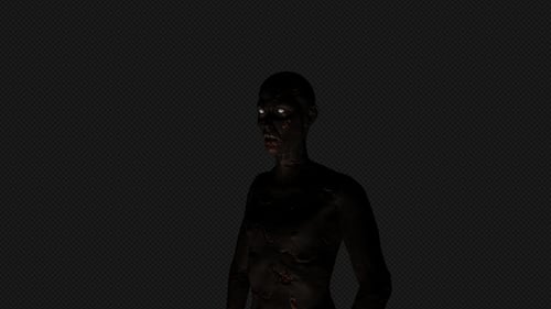 Burned Zombie 1