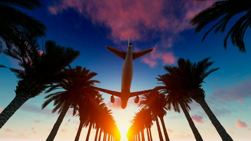 Tropical Sunset with Airplane Flying Over Palm Trees
