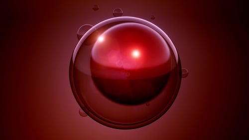 Girar divisão celular