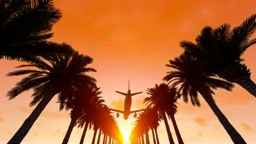 Airplane Flying Over Tropical Palm Trees at Sunset