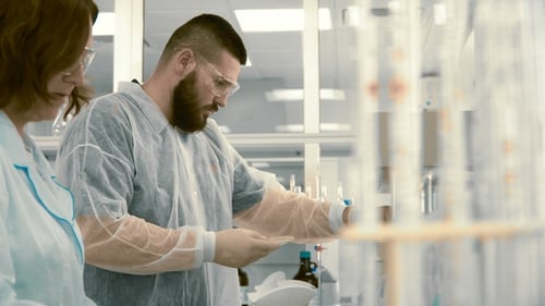 Scientists Working in a Modern Laboratory