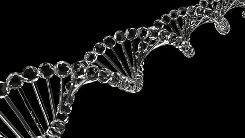 Rotating Crystal DNA Double Helix Seamless Loop