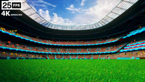 Black Flying On Grass In Stadium 4K