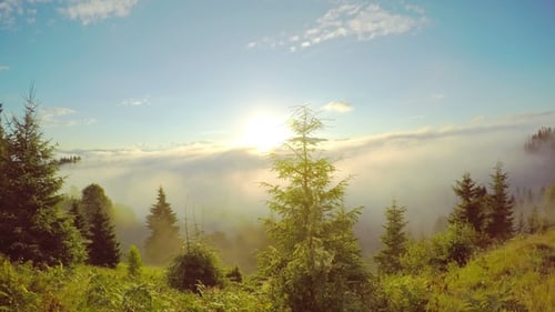 Sunrise Through Fog Over Mountain Forest