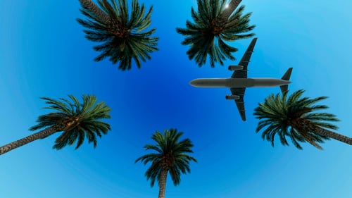Airliner Passing Over Palm Trees