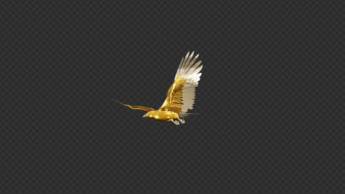 Gold Eagle - Flying Transition - II