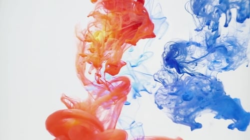 Colorful Ink Plumes Swirling Abstractly in Liquid