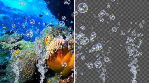 Animated Bubbles Fluid Overlay Pack